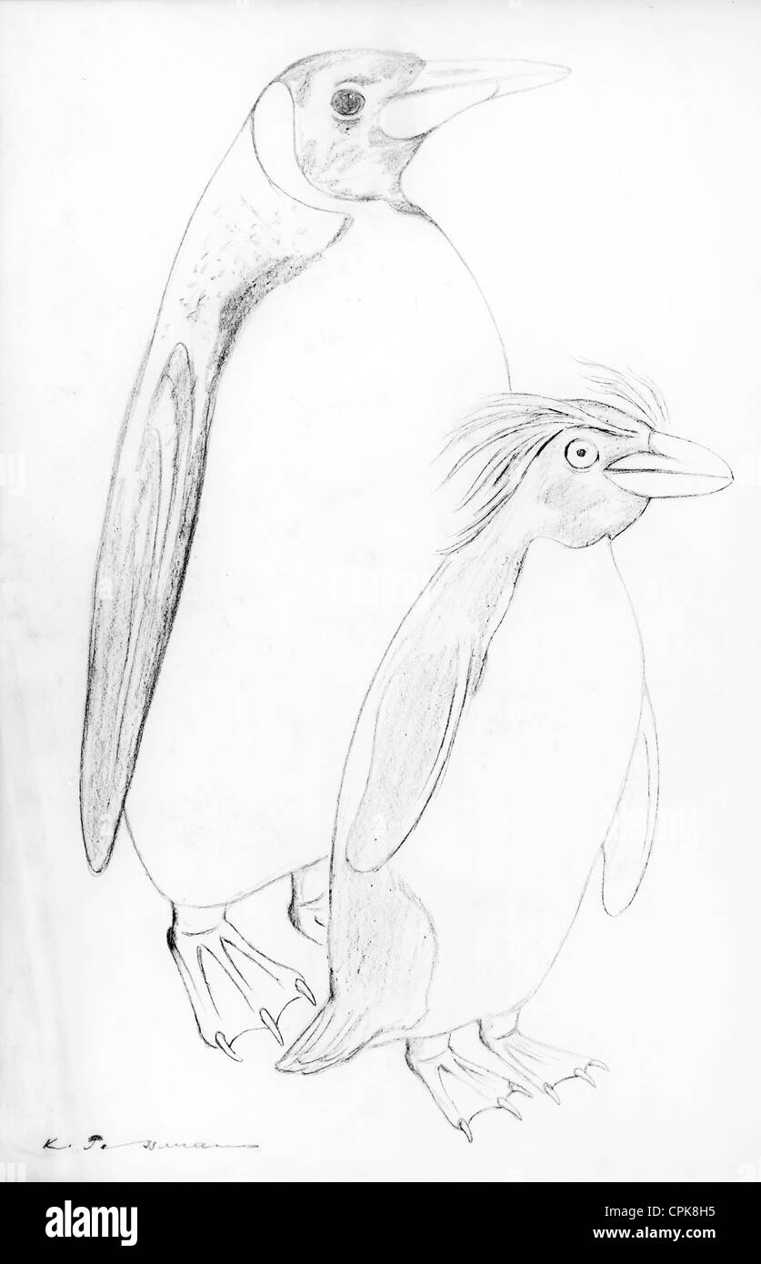 Kaiserpinguin (Aptenodytes Forsteri) (links) und Southern Rockhopper Penguin Group (Eudyptes Chrysocome) (rechts) Stockfoto