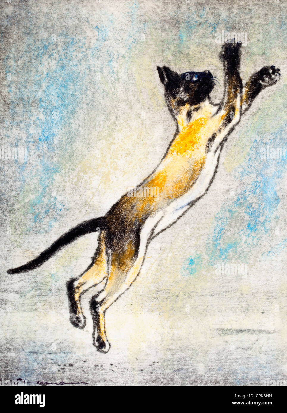 Siamesische Katze - Pastellkreide auf Papier von Kurt Tessmann Stockfoto