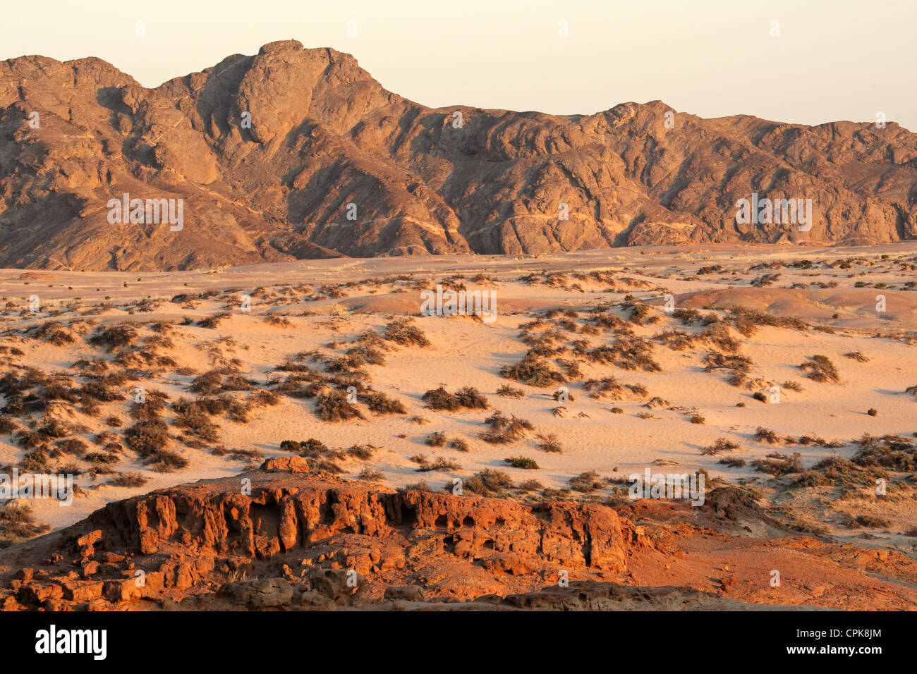 Wüstenlandschaft, Namib-Naukluft-Nationalpark, Namibia, Südliches Afrika Stockfoto