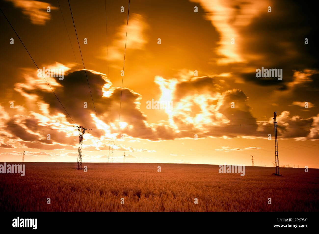 Infrarot-Bild ein Weizen Feld und Power line, Sanlucar la Mayor, Sevilla, Spanien Stockfoto