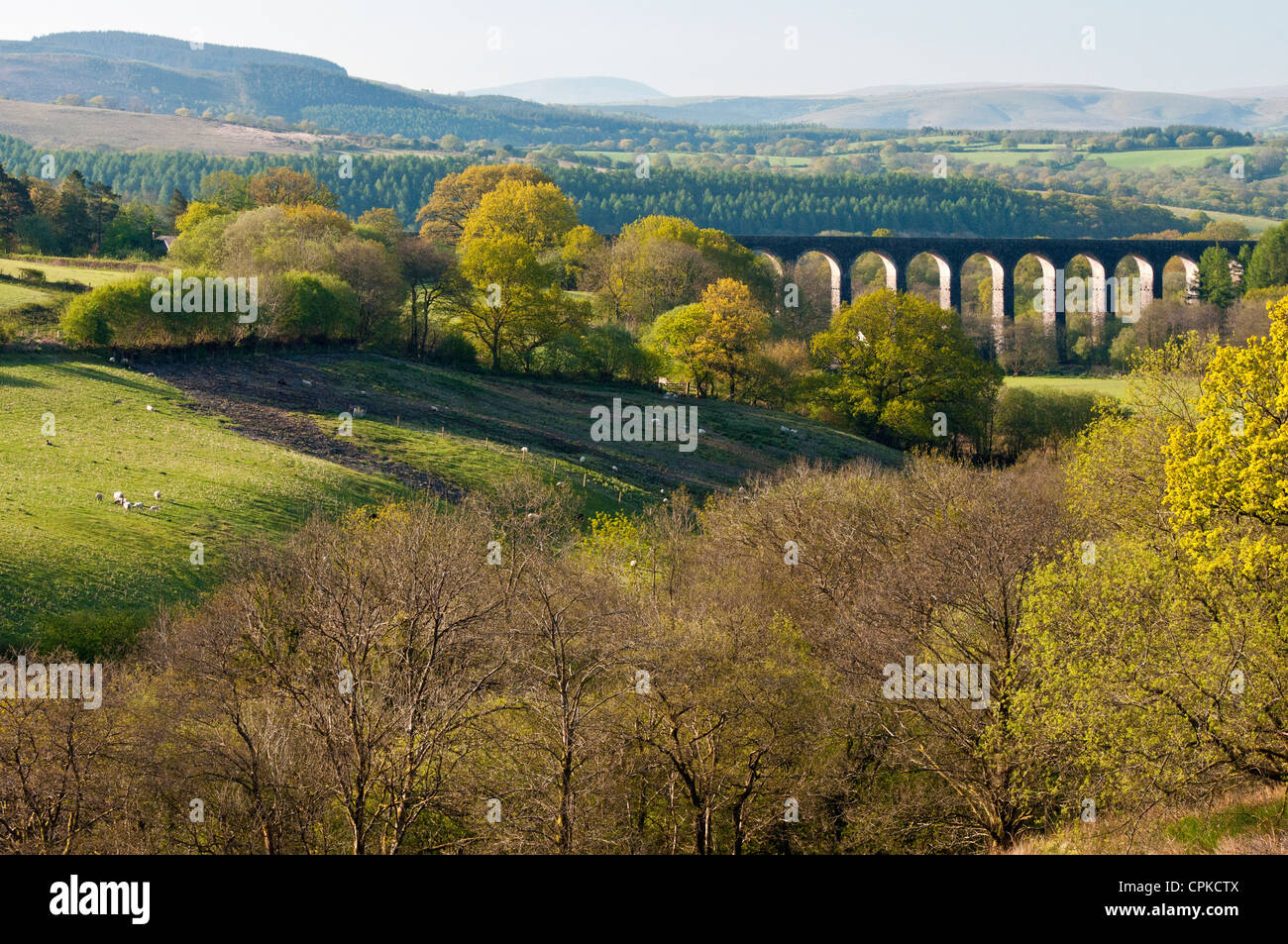 Cynghordy Eisenbahn-Viadukt in der Nähe von Llandovery, Carmarthenshire, dient die Herzen von Wales Eisenbahnlinie von Swansea nach Shrewsbury Stockfoto
