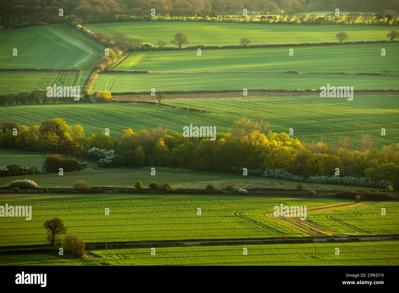 Frühling Morgen in South Downs National Park, East Sussex, England. Stockfoto