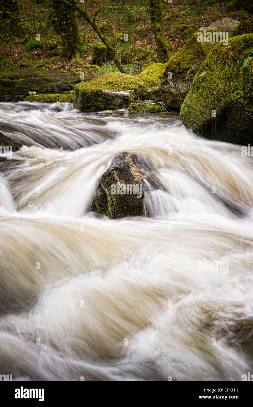 Golitha Wasserfälle Stockfoto