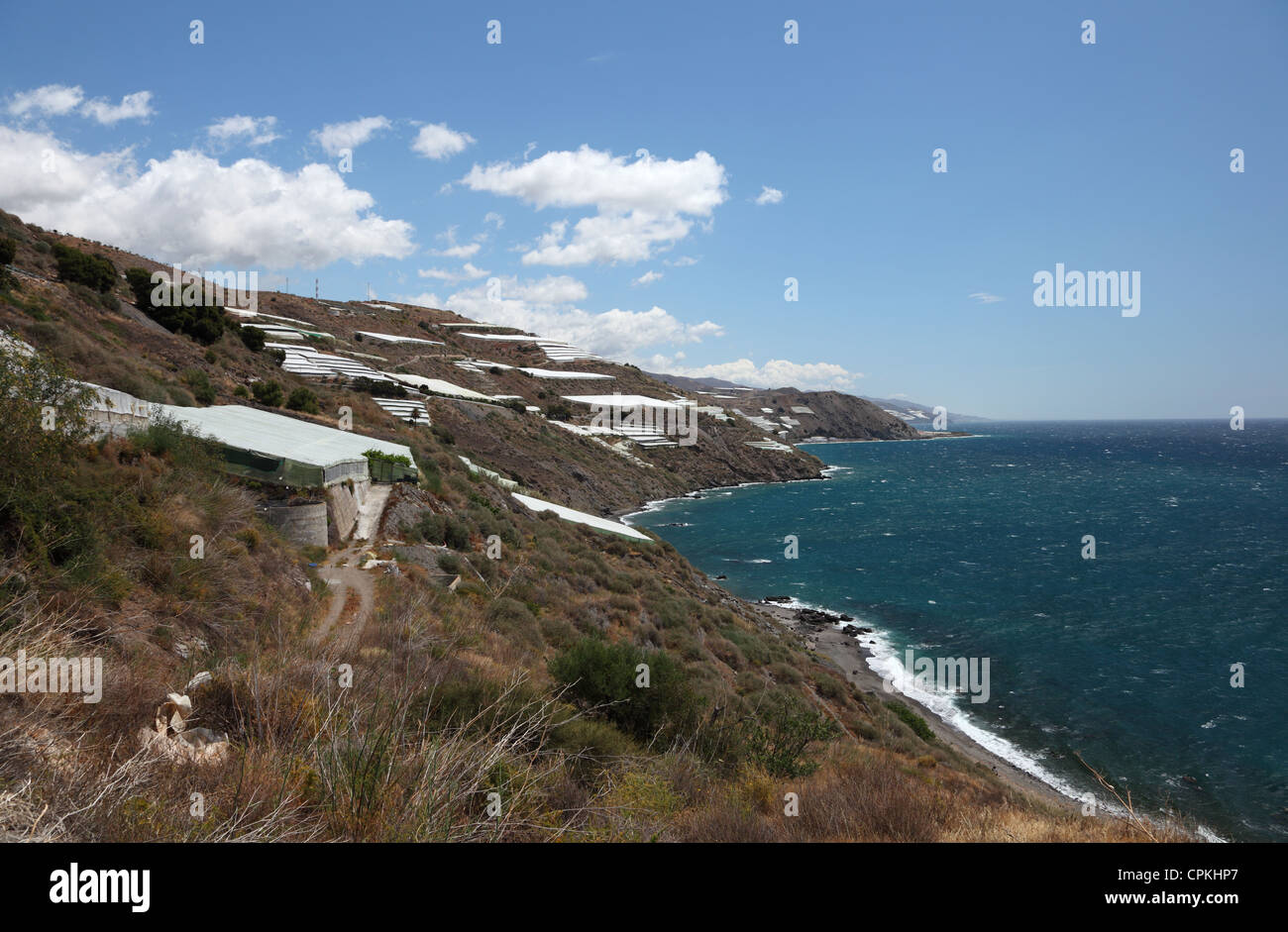 Plantagen an der Küste in Andalusien Spanien Stockfoto
