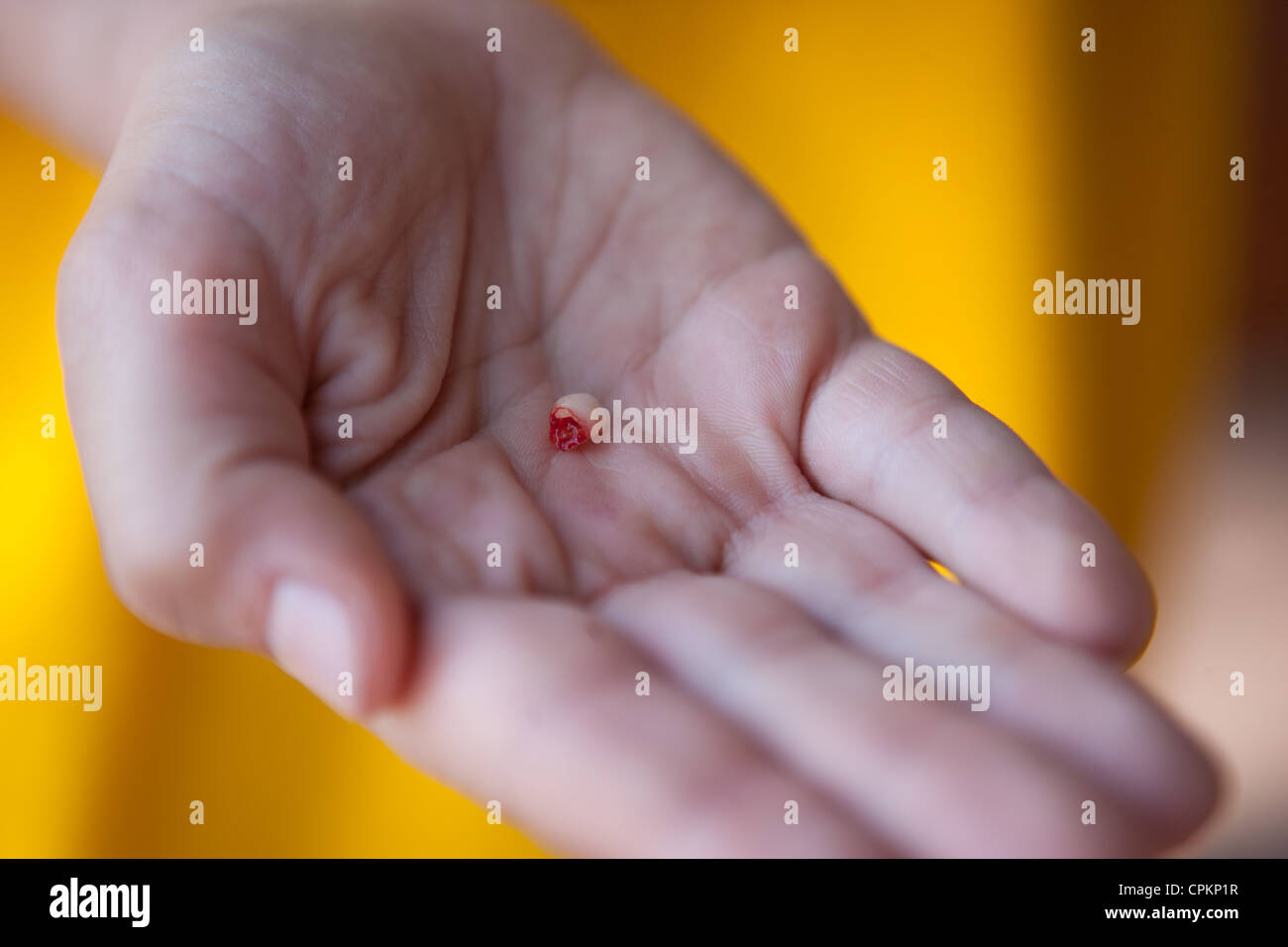 Neun Jahre alter Junge hält einen Zahn in seiner Hand, die gerade herauskam. Stockfoto