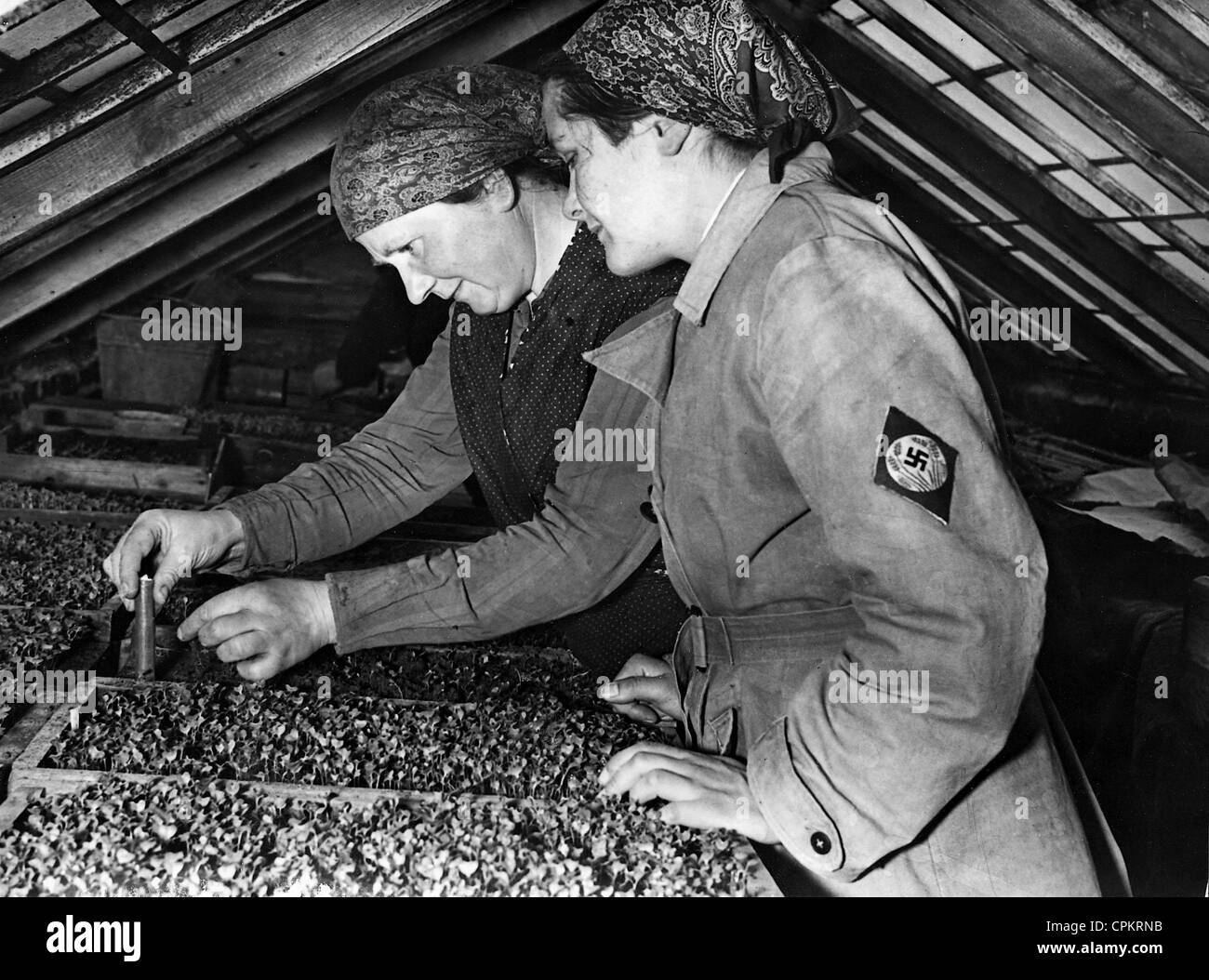 Reichsarbeitsdienst reichsarbeitsdienst rad Fotos und Bildmaterial in