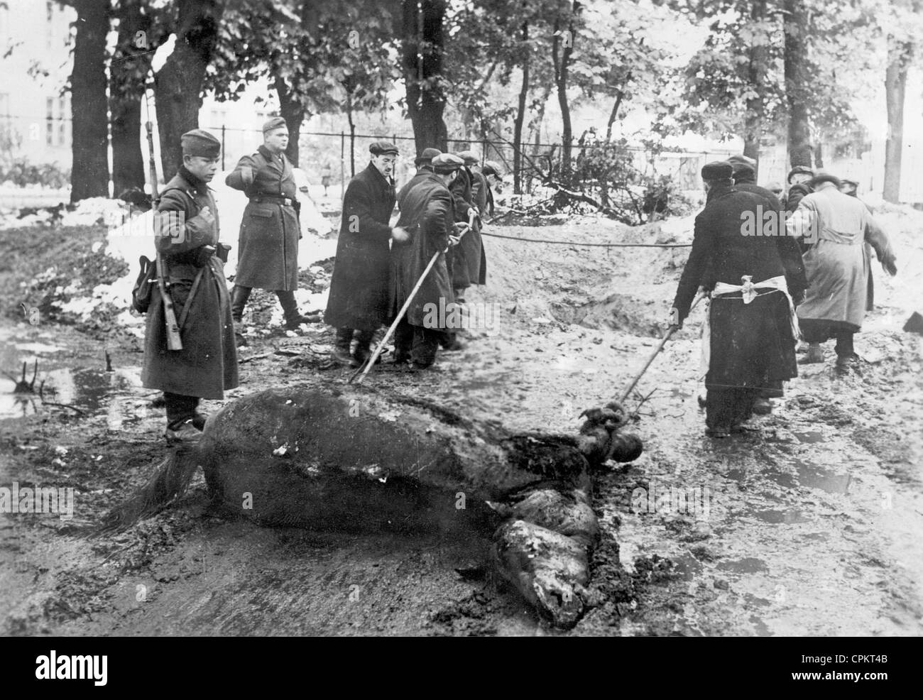 Juden entfernen in Warschau, 1939 ein Pferd Kadaver Stockfoto