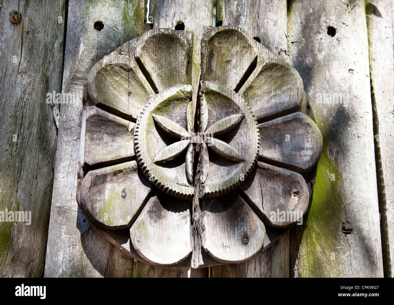 Hölzerne Blume auf den grauen Wäldern Stockfoto