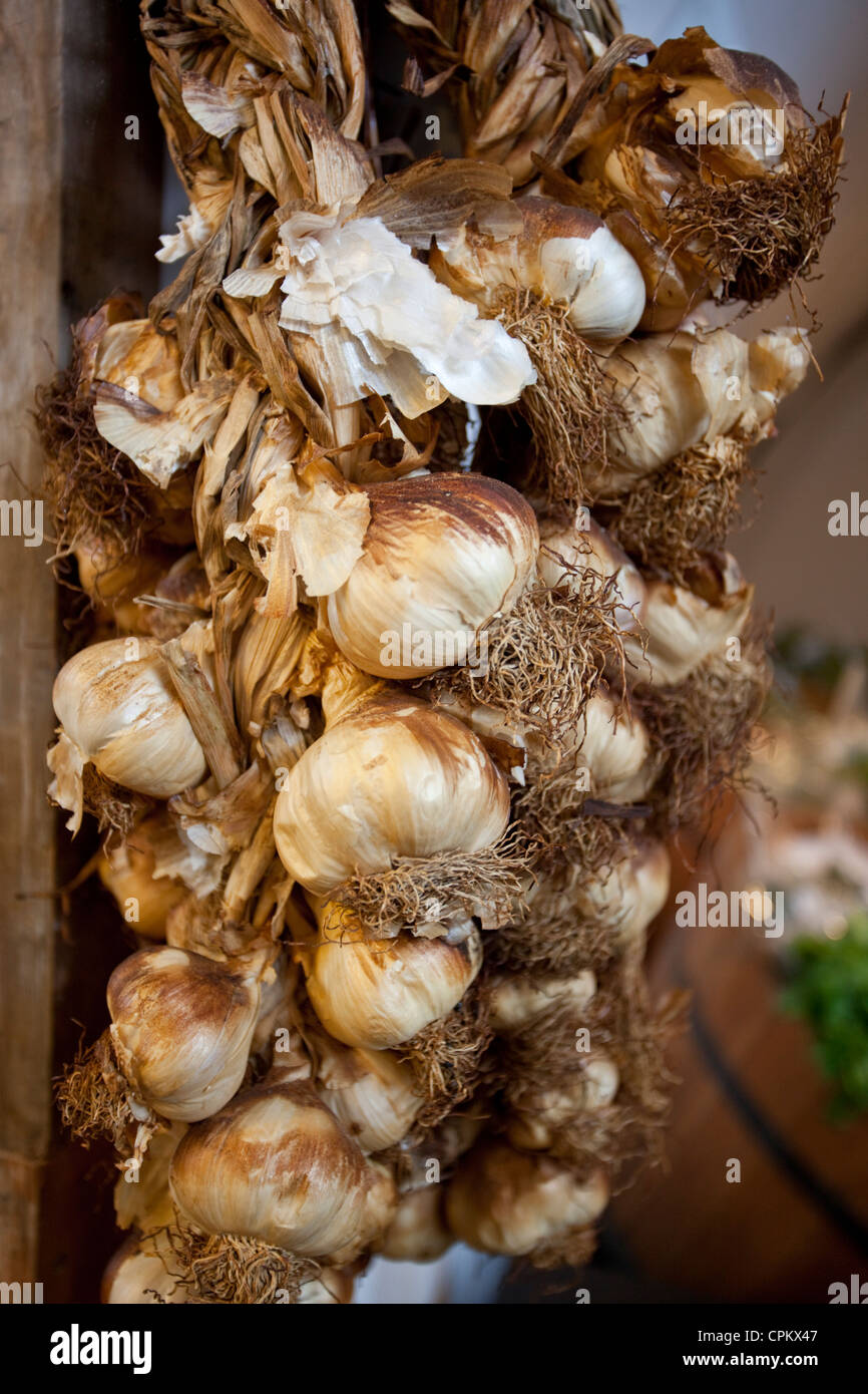 Eine Reihe von Knoblauch Stockfoto