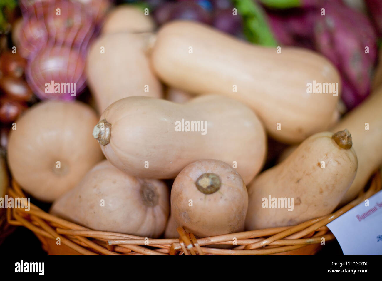 Bio Kürbis Stockfoto