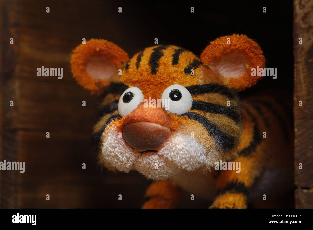 Le Tigre et Les Animaux De La Forêt Stockfoto