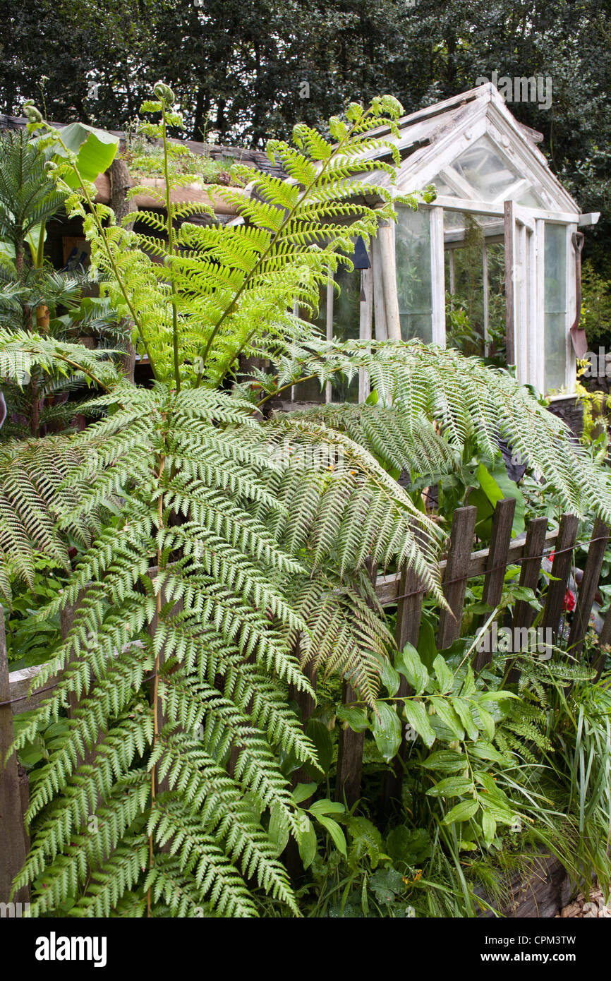 Der Scottish Agricultural College SAC Garten von Karolina Tercjak und SAC-Studenten an der RHS Chelsea Flower Show 2012 entworfen. Stockfoto