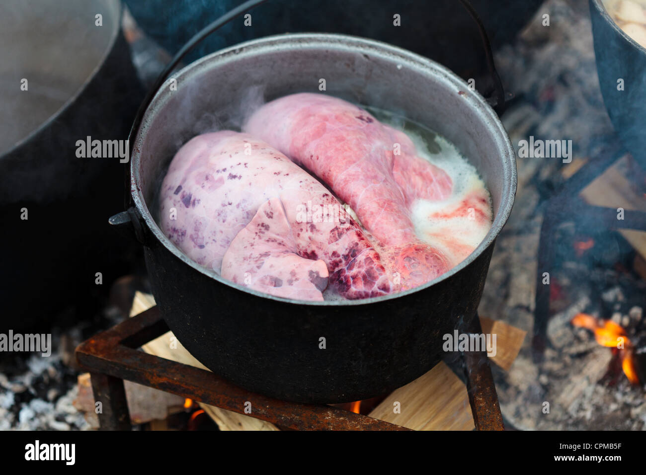 Schwein Lunge Kochen in einer Eisen-Guss Topf im freien Stockfotografie -  Alamy