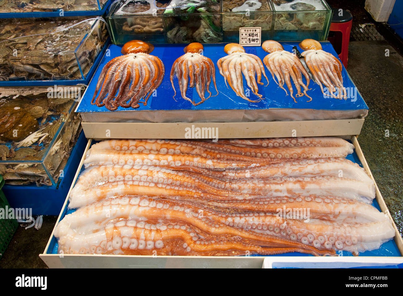 Octopus (Muneo) und einzelne Tenctacles zu verkaufen. Noryangjin Fischmarkt, Seoul. Stockfoto