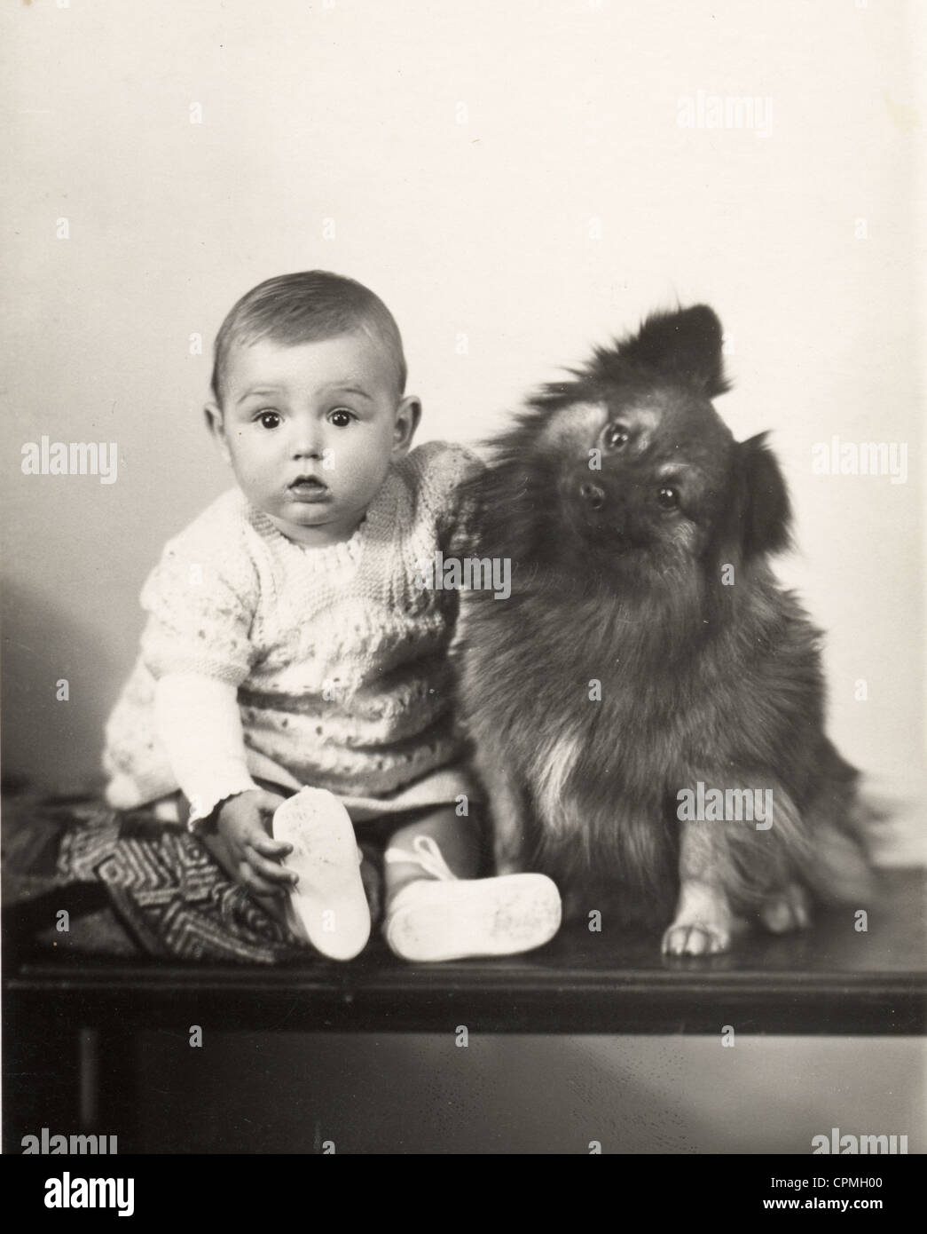 Kleinkind mit neugierigen kleinen Hund Stockfoto