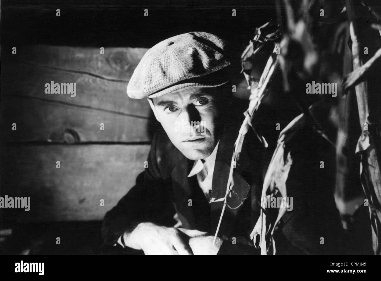 The Grapes of Wrath Stockfoto