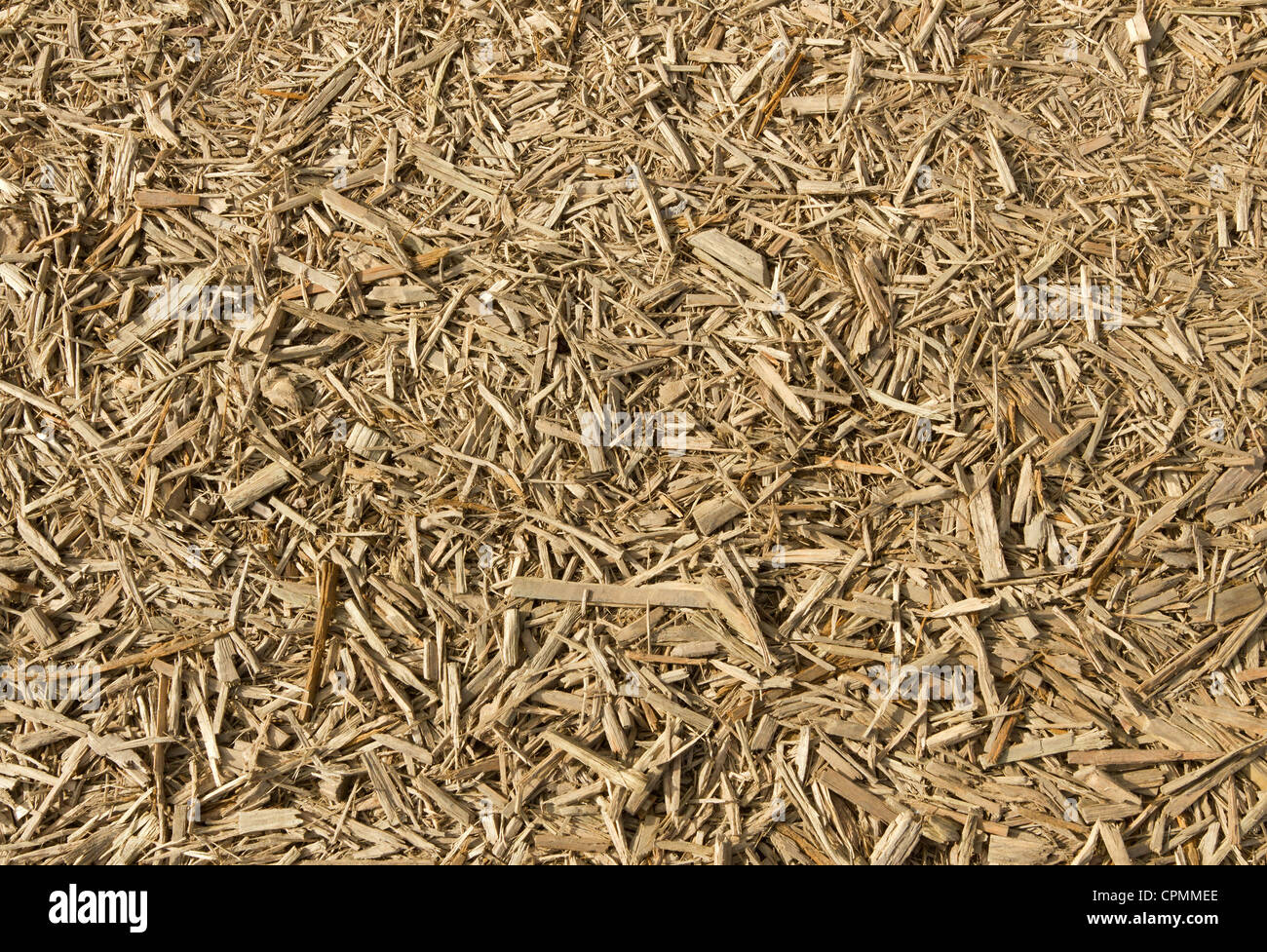 Viele frische Holzschnitzel hautnah. Stockfoto