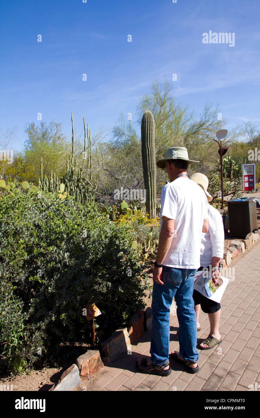 Kakteen und andere Wasser-remanent Pflanzen aus trockenen Regionen auf der ganzen Welt auf dem Display bei Desert Botanical Garden in Phoenix, AZ Stockfoto