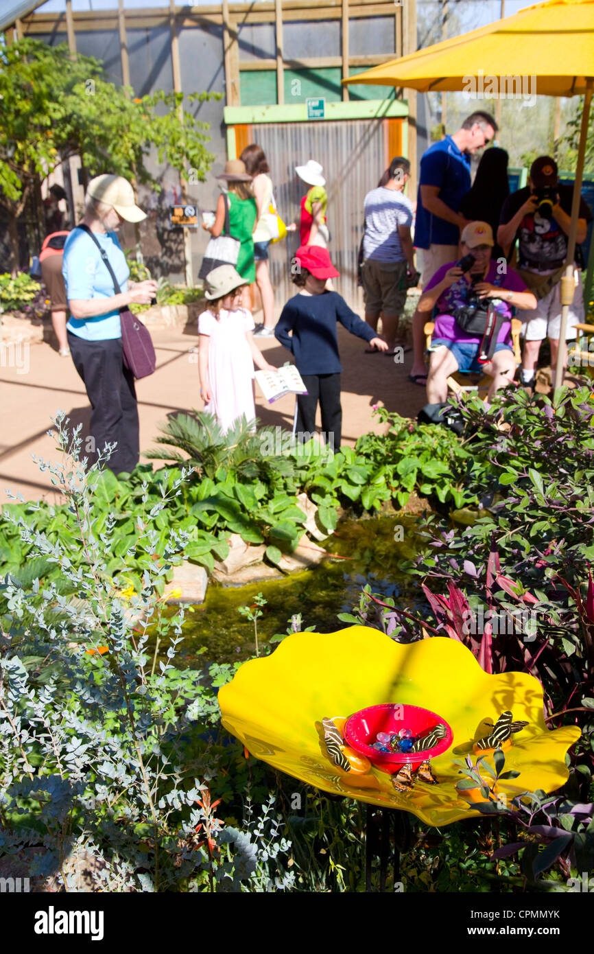 Der Butterfly Pavilion ist eine beliebte Attraktion bei Desert Botanical Garden in Phoenix, AZ, USA. Stockfoto