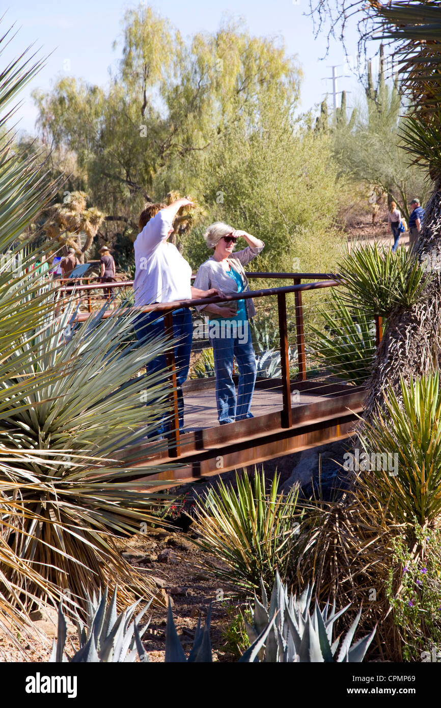 Kakteen und andere Wasser-remanent Pflanzen aus trockenen Regionen auf der ganzen Welt auf dem Display bei Desert Botanical Garden in Phoenix, AZ Stockfoto