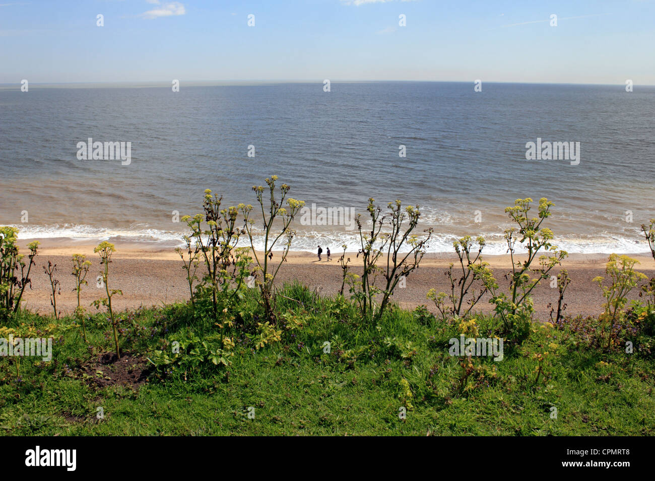 Dunwich Strand von der Klippe. Diesem Bereich leidet unter schweren Küstenerosion. Suffolk England UK Stockfoto