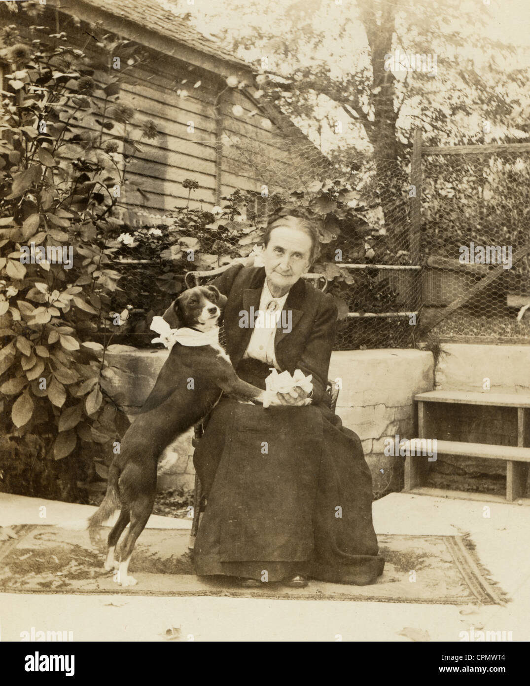 Alte Frau im Freien mit ihrem geliebten Hund Stockfoto