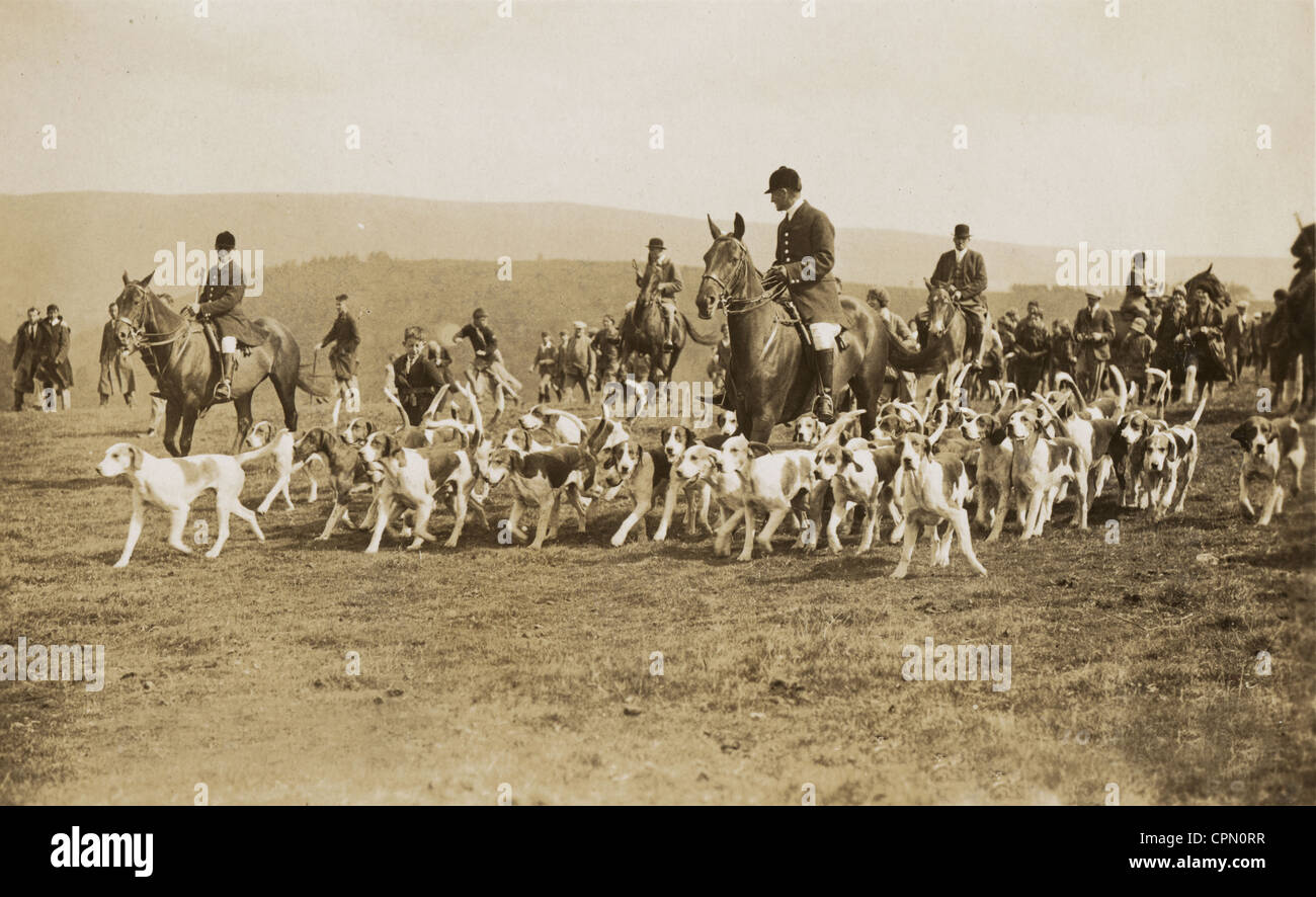 Fox Hunt & großes Rudel Hunde Englisch Stockfoto