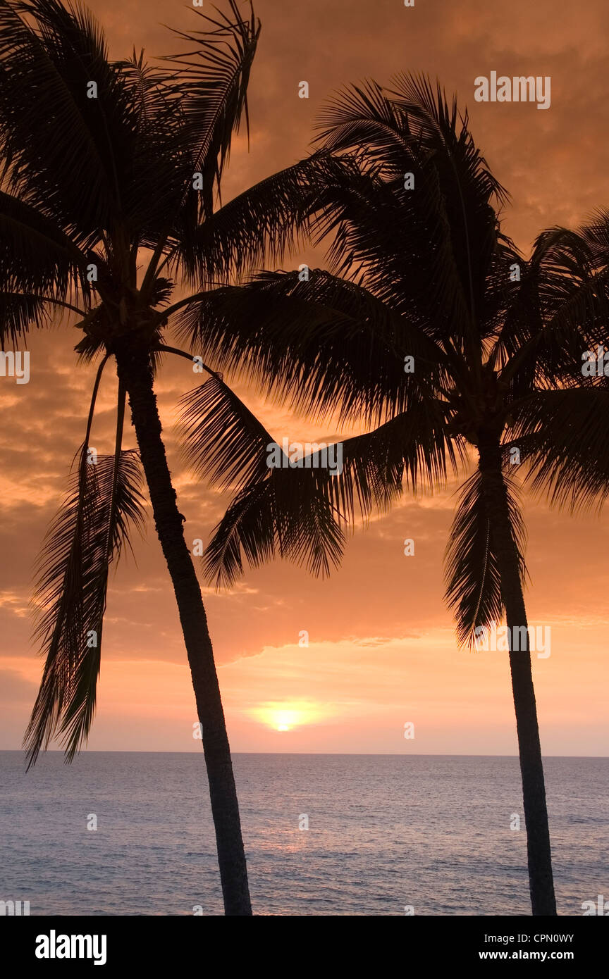 Elk284-3340v Hawaii, HI, Hawaiian sunset Anaehoomalu Bucht mit Palmen Stockfoto