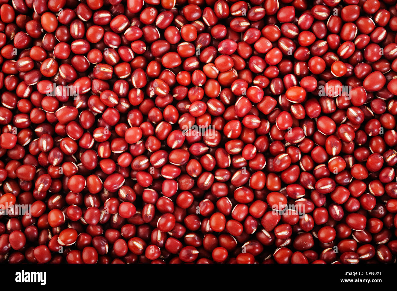 roten Azuki Bohnen Muster Hintergrund Stockfoto