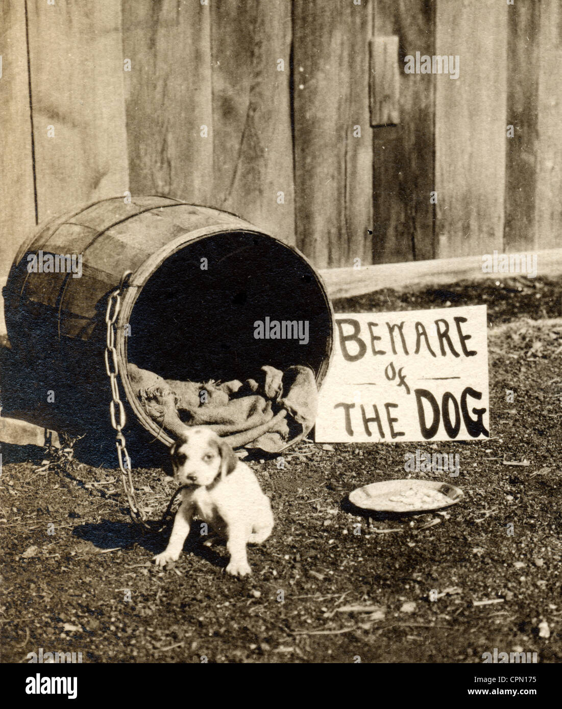 Ironisch Hüte dich vor dem Hund Schild Stockfoto