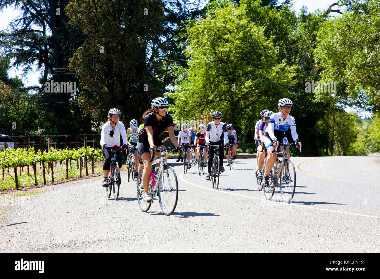Mit dem Fahrrad Touren Schlange Weg Westside in Sonoma Wein Land in der Nähe von Healdsburg, Kalifornien, USA. Stockfoto