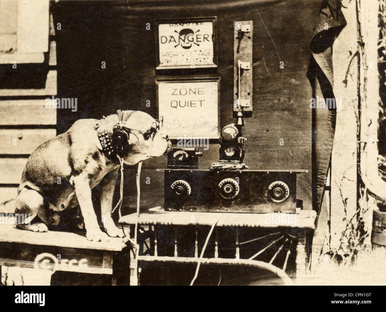 Das ursprüngliche Radio-Hund Stockfoto