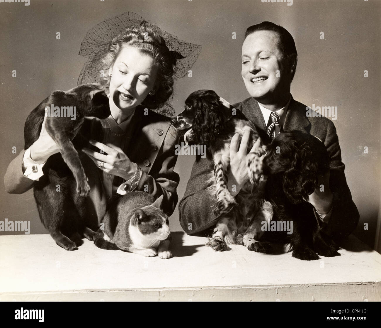 Ehepaar mit zwei Hunden & Katzen Stockfoto