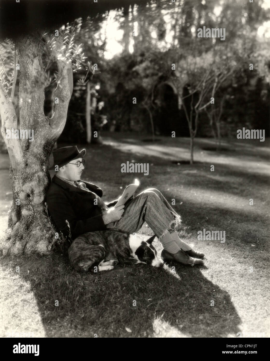 Hobo-Lesung im Schatten eines Baumes während Hund NAP Stockfoto