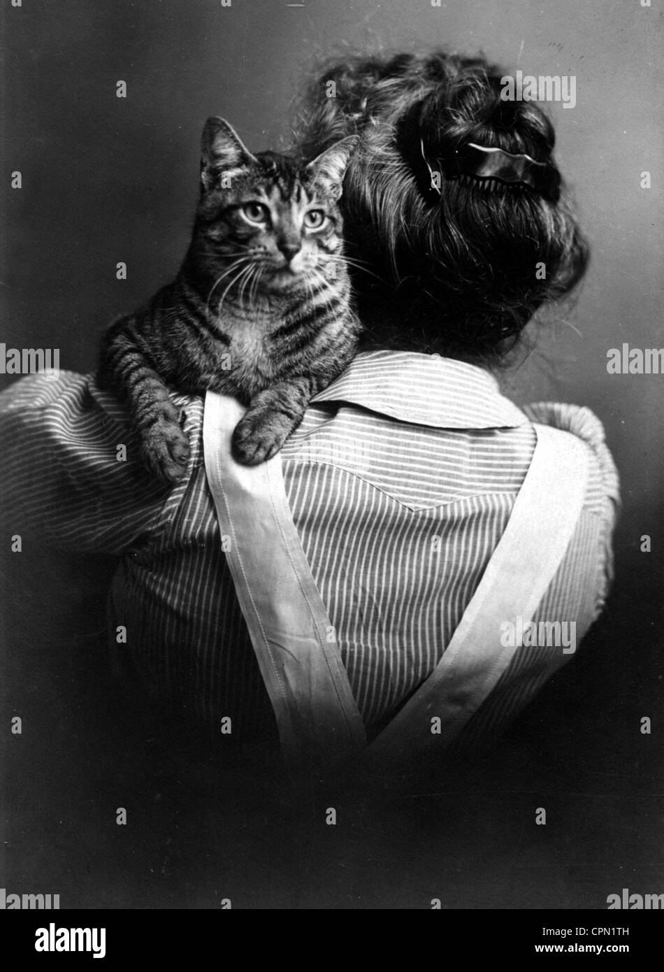 Frau hält die Katze auf ihre Schulter mit Blick nach hinten Stockfoto