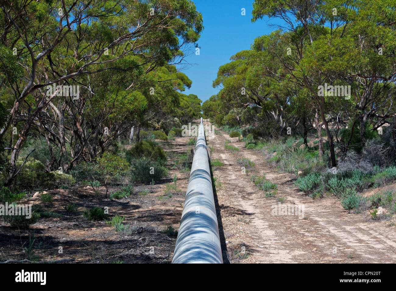 Über dem Boden Wasserleitung in der Nähe von Eisen-Knopf auf der Eyre Highway South Australia Stockfoto