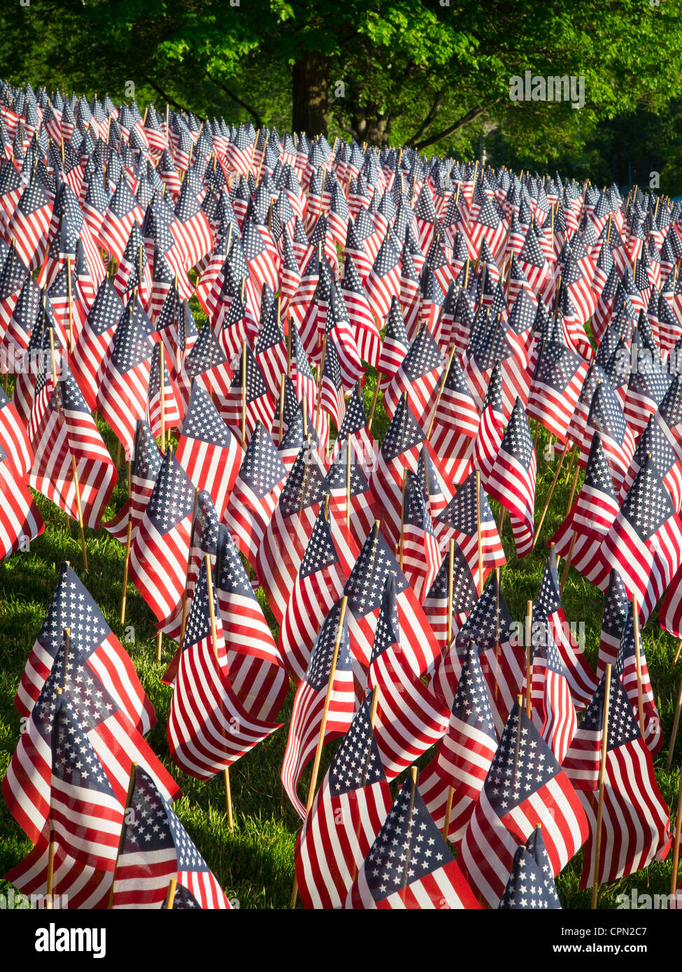 Flaggen am Memorial Day in Boston Commons Stockfoto