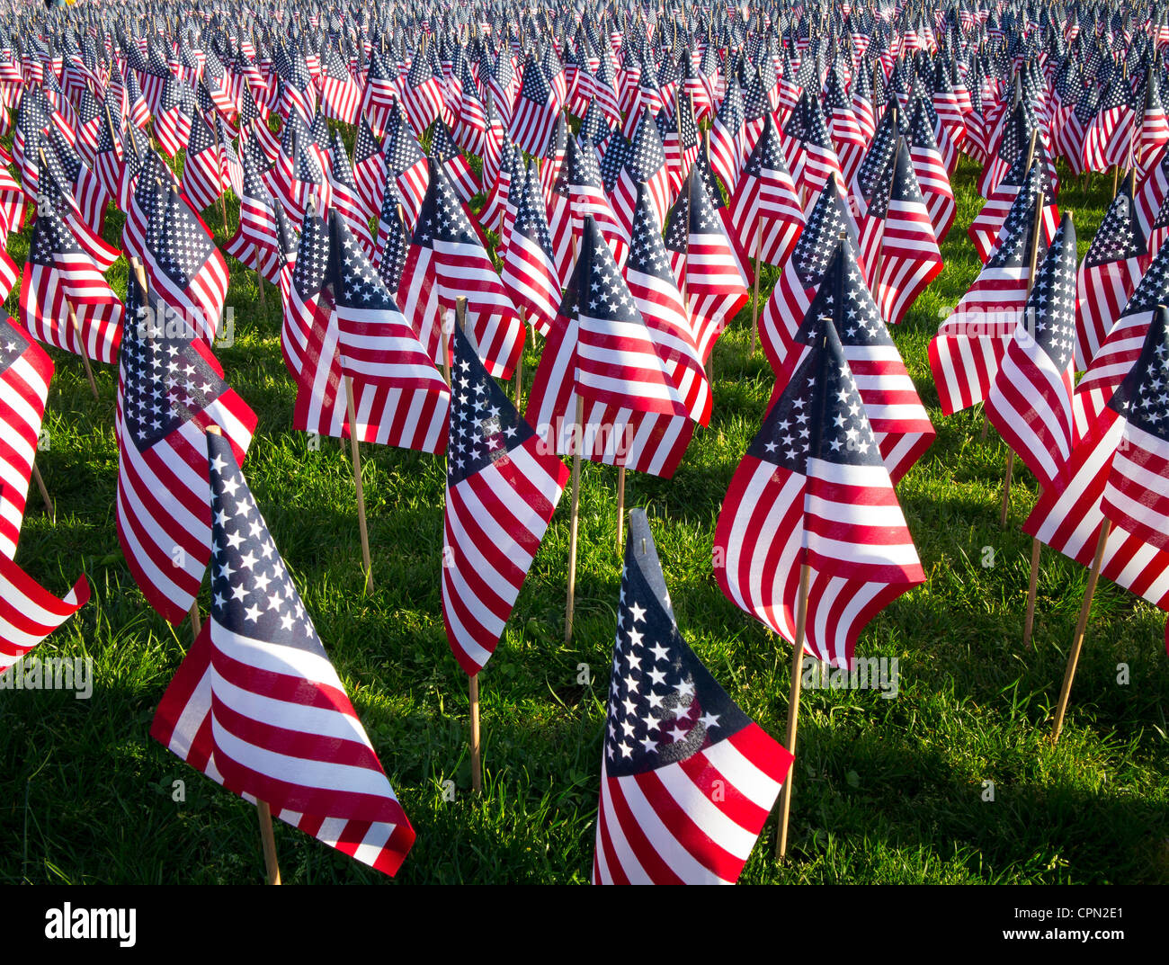 Flaggen am Memorial Day in Boston Commons Stockfoto