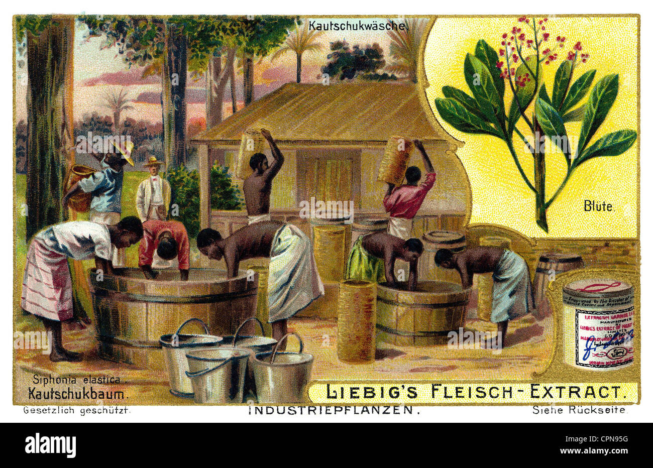 Landwirtschaft, nicht ausgehärteter Gummi, nicht ausgehärteter Gummi in Afrika, Liebig Sammelbild, um 1900, Zusatz-Rechteklärung-nicht vorhanden Stockfoto