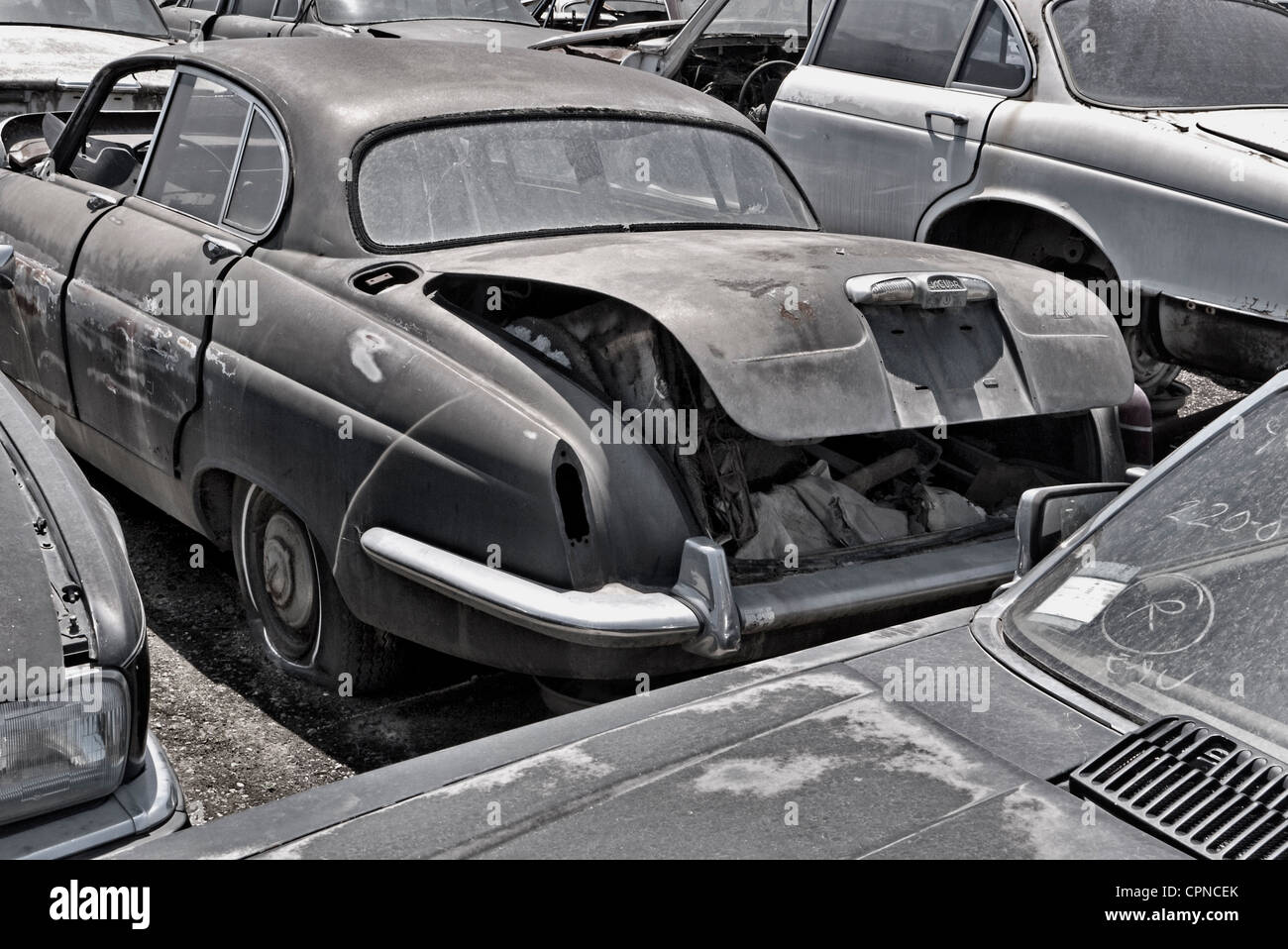 1960er Jahren Jaguare auf einem Schrottplatz in Kalifornien, USA Stockfoto