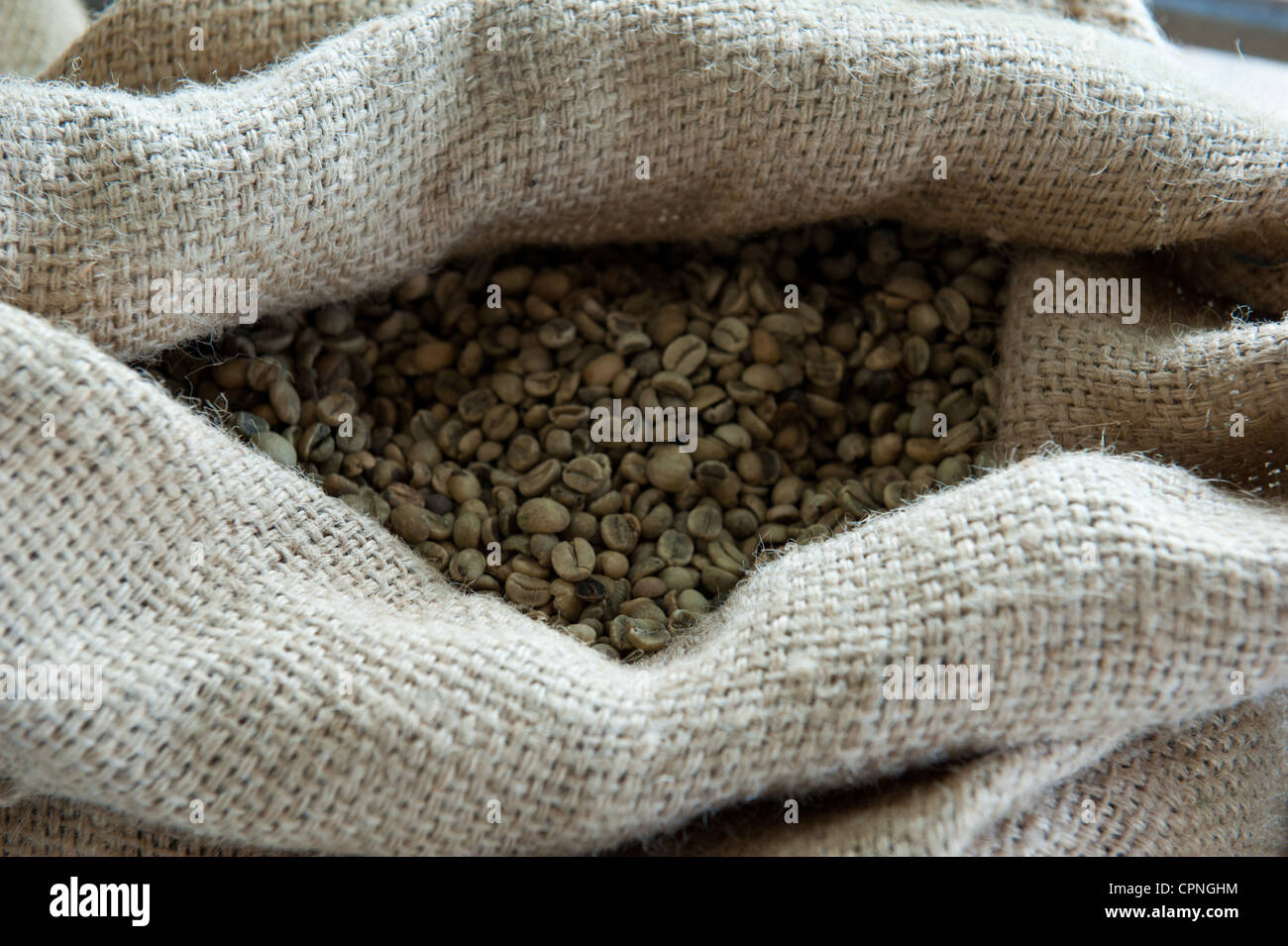 Kaffeebohnen, Buon Ma Thuot Stockfoto