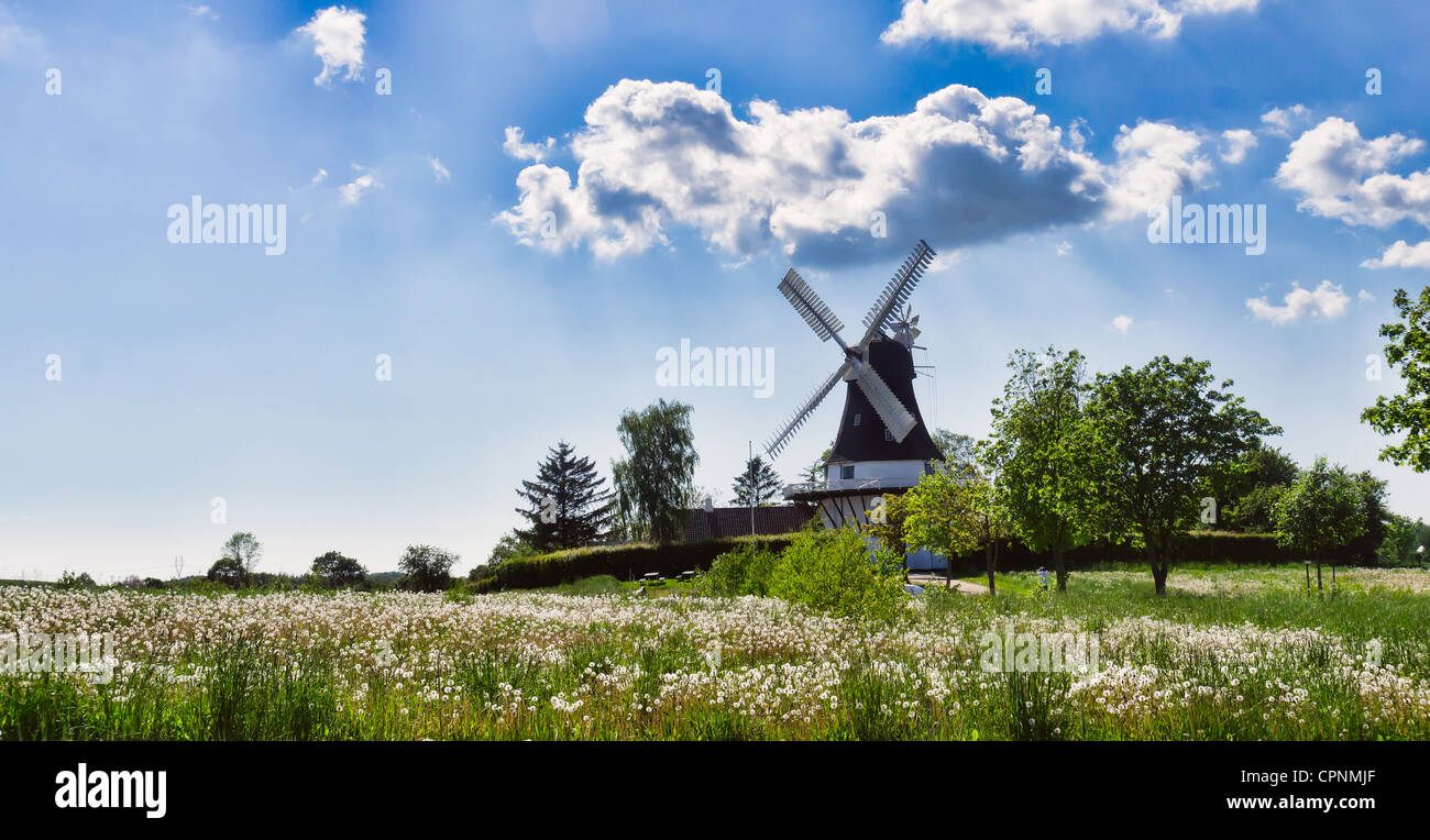 Windmühle in Egeskov Fünen Fünen, Dänemark Stockfoto
