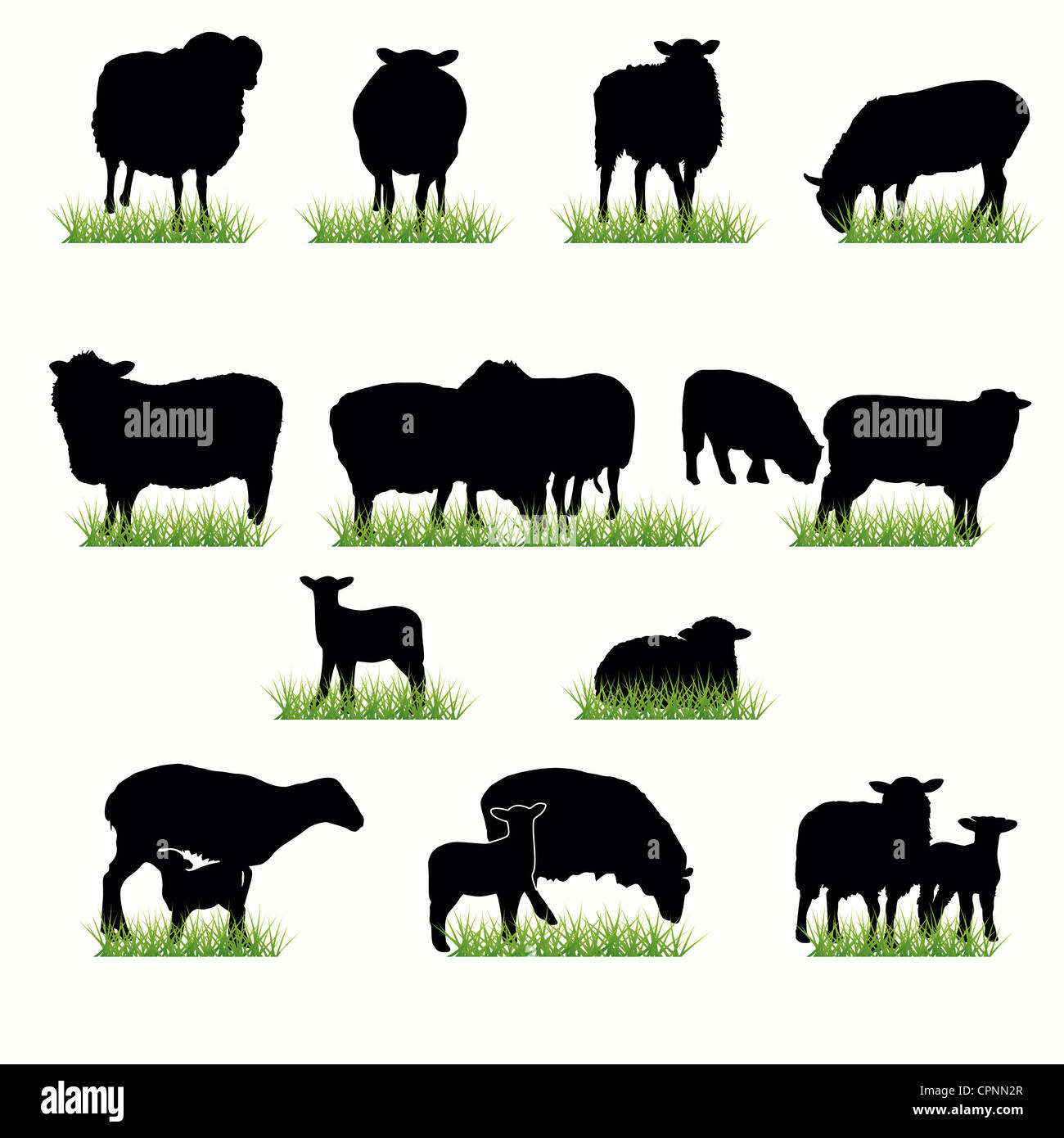 Schaf Silhouetten Satz Stockfoto