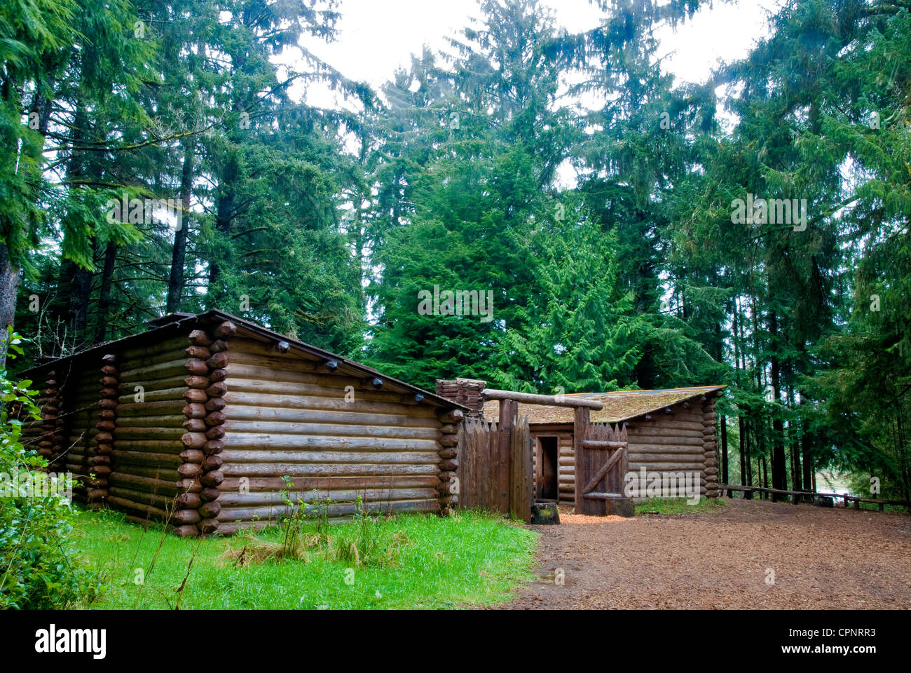 Verregneten Wald herum Fort Cltatsop in Oregon Stockfoto