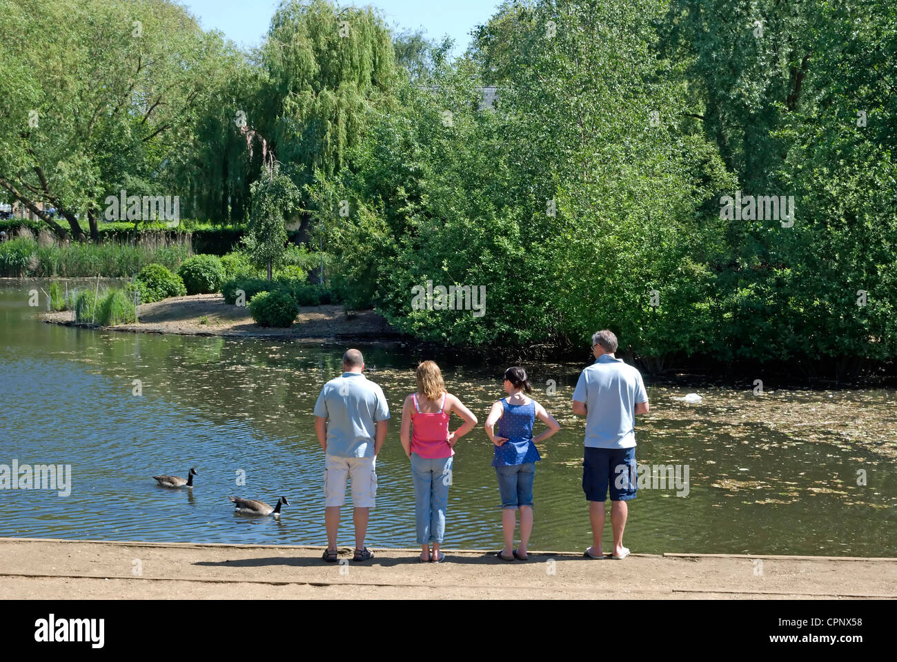 vier Erwachsene beobachten Enten auf dem Teich auf Barnes grün, Barnes, Südwesten von London, england Stockfoto