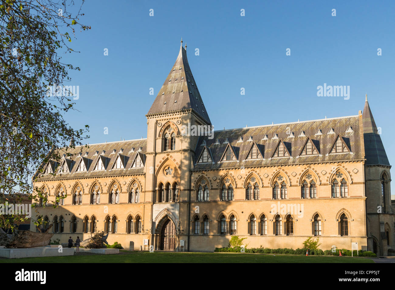 Oxford Museum Oxford Stockfoto