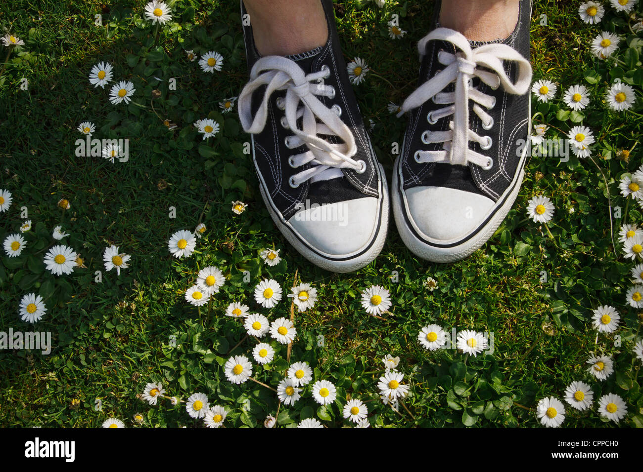 Ein Mädchen mit Converse Sneakers geht aber den Rasen mit Mini Gänseblümchen bedeckt. Stockfoto