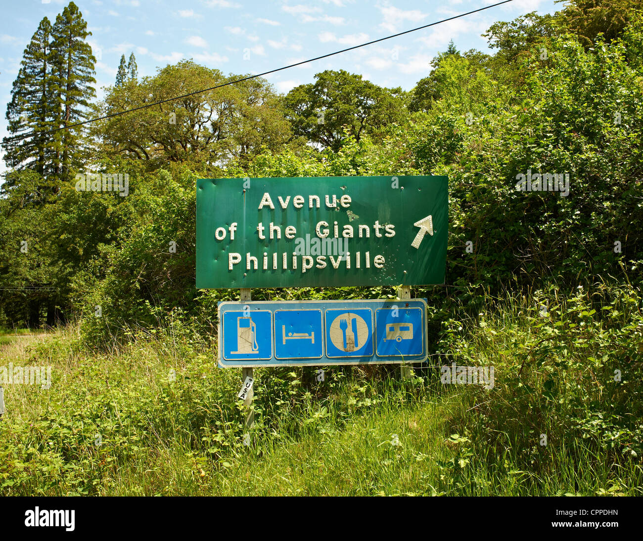 Straßenschild. Avenue of the Giants. Humboldt Redwoods State Park. Stockfoto