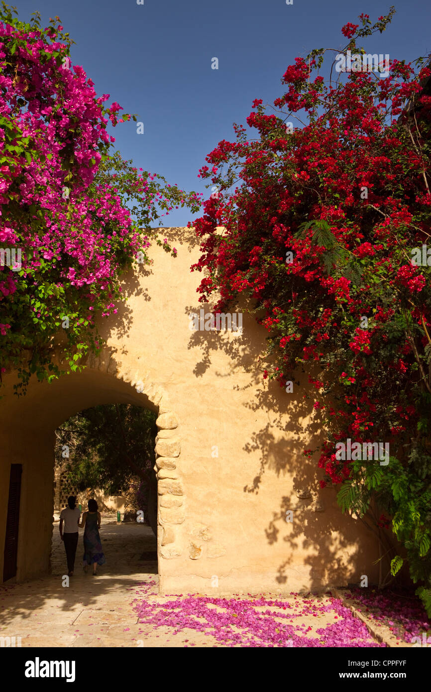 Gebäude entlang dem Toten Meer, Mövenpick Resort Hotel, Jordanien, Westasien Stockfoto