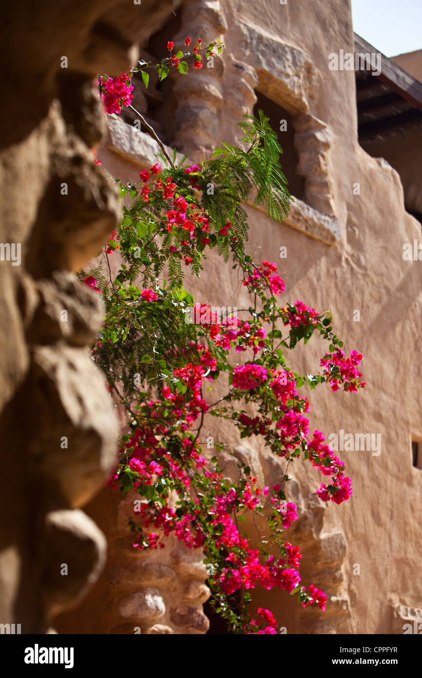 Gebäude entlang dem Toten Meer, Mövenpick Resort Hotel, Jordanien, Westasien Stockfoto